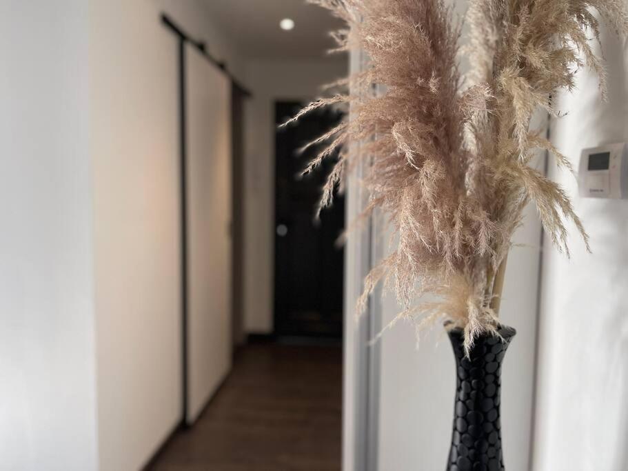 Apartment Bielawy